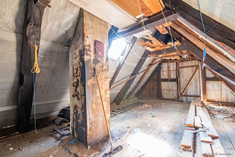 TOP-Lage zentral in Barntrup - Baugrundstück mit abrissreifem Fachwerkhaus! – Dach Ansicht 1