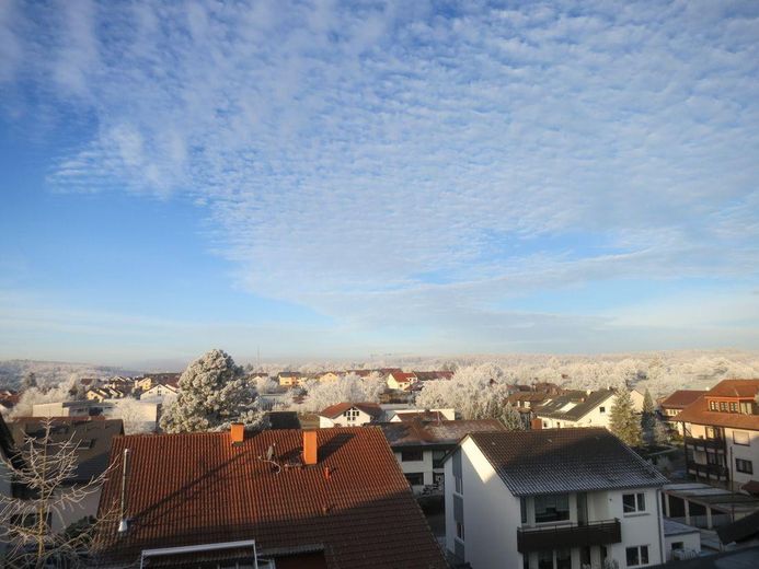 Blick auf das unbebaute Naturs