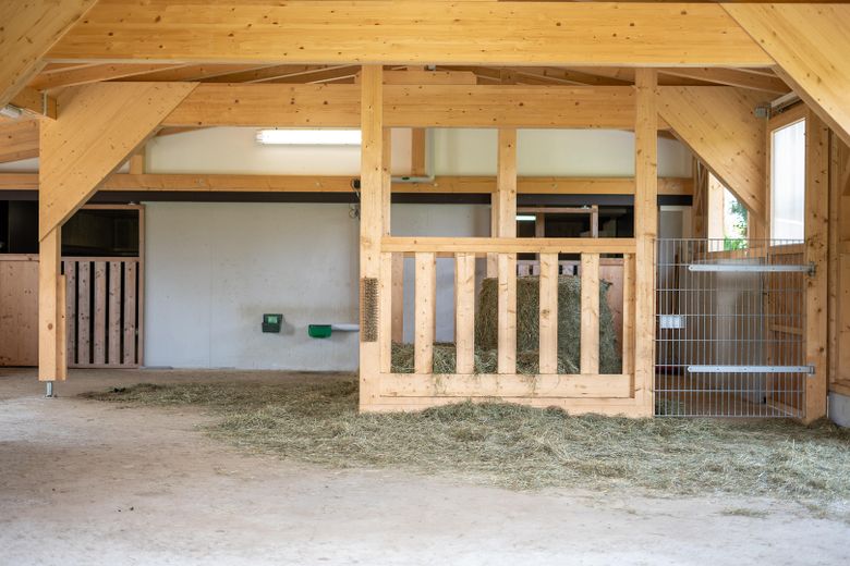 Stallanbau