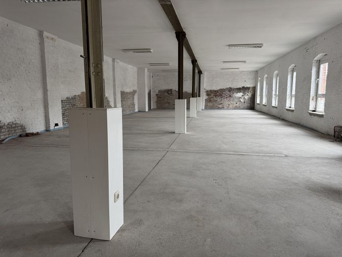 Industrial Loft in Chemnitz: Vielseitige Gewerbefläche – Erstbezug & Ausbau nach Ihren Wünschen – Foto 2