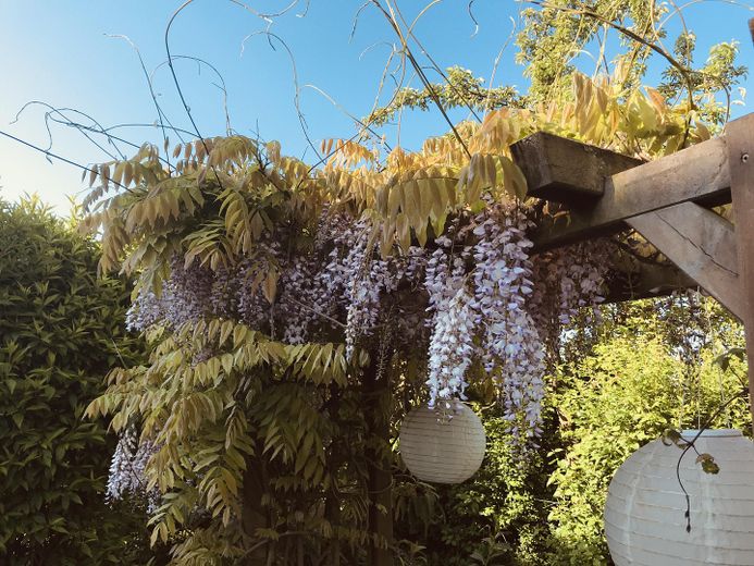 Garten Impression 
