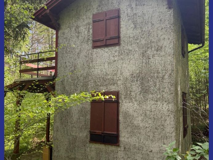 Verstecktes kleines Haus im Wald – Foto 1