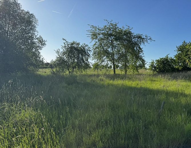 Ostansicht