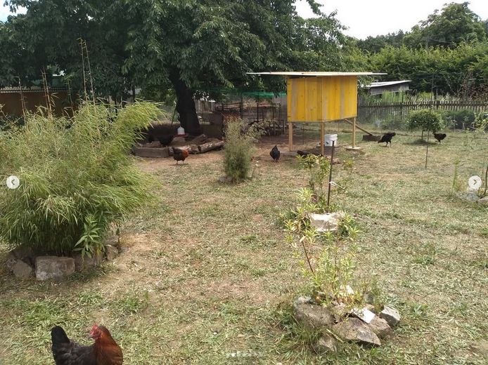 Garten