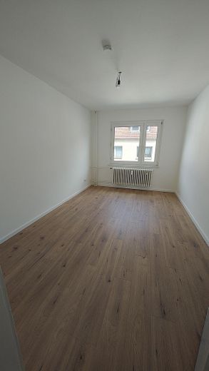 zimmer1