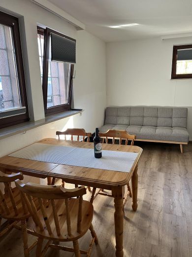 Stijlvol gemeubileerd terrasappartement met 1,5 kamer en inbouwkeuken – Wohn- und Schlafzimmer