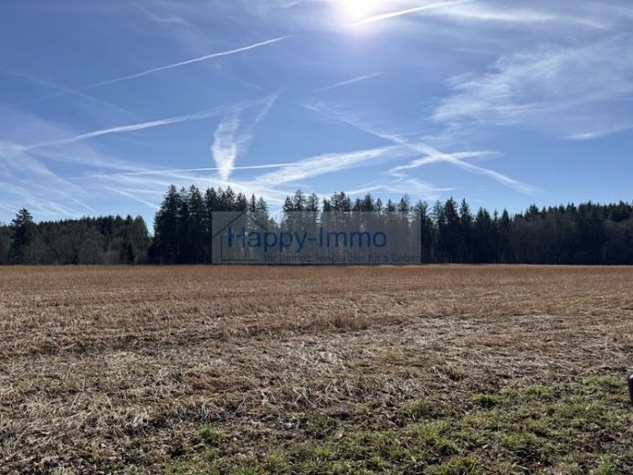 Terreno speculativo in attesa di edificabilità - attualmente è ad uso agricolo – Foto 1