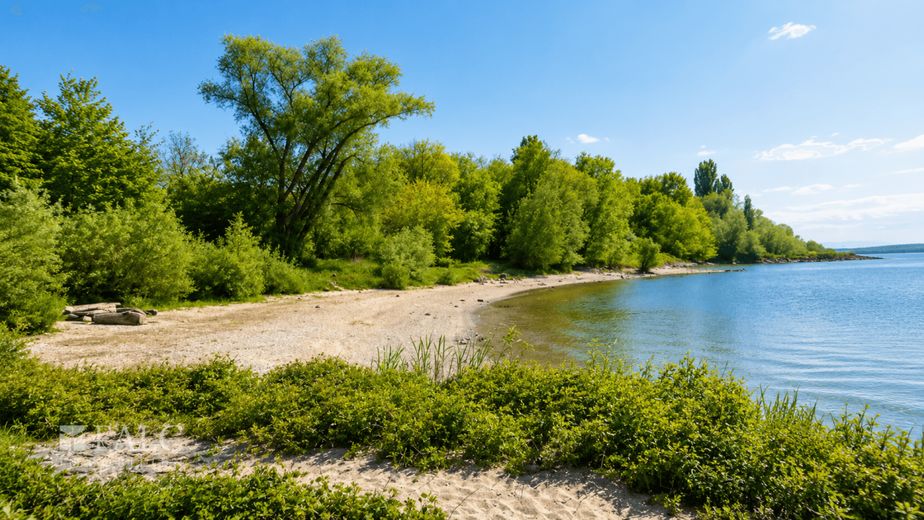 Familienfreundliche Wohnung in Rheinlage mit attraktivem Entwicklungspotenzial – Rheinstrand