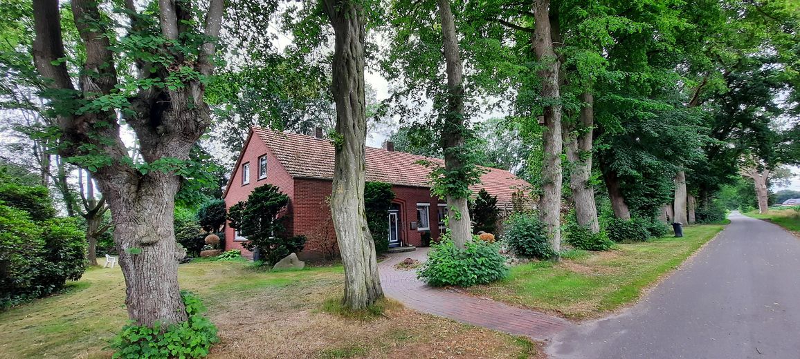 Ansicht von Straße
