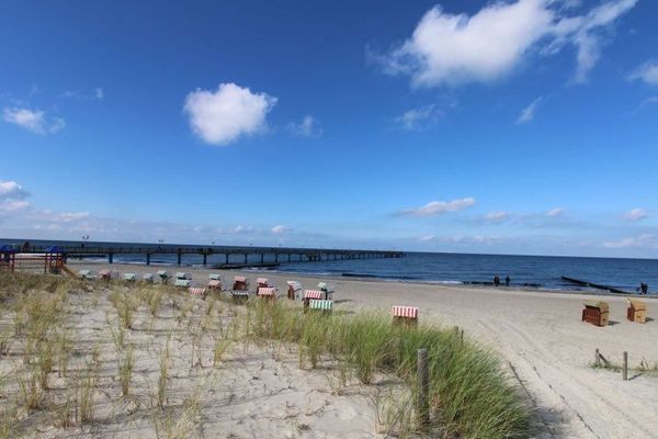 Uroczy dom mieszkalny z budynkiem gospodarczym przy lesie wydmowym – tylko 10 minut do plaży