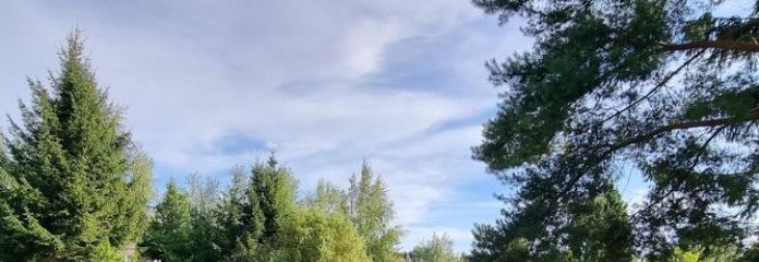 Erleben Sie ein Raumwunder mit einem kleinen Paradiesgarten