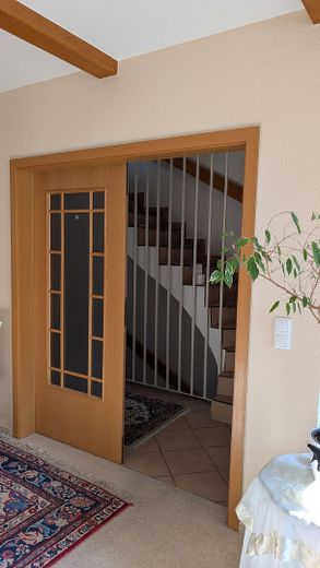 Doppeltür ins Wohnzimmer