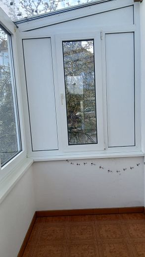 MFH mit 3 Wohnungen - Zentrale Lage - Freistehend – Foto 14