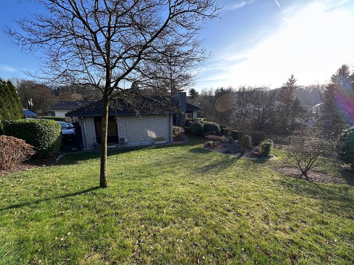 Garten-Blick auf das Haus