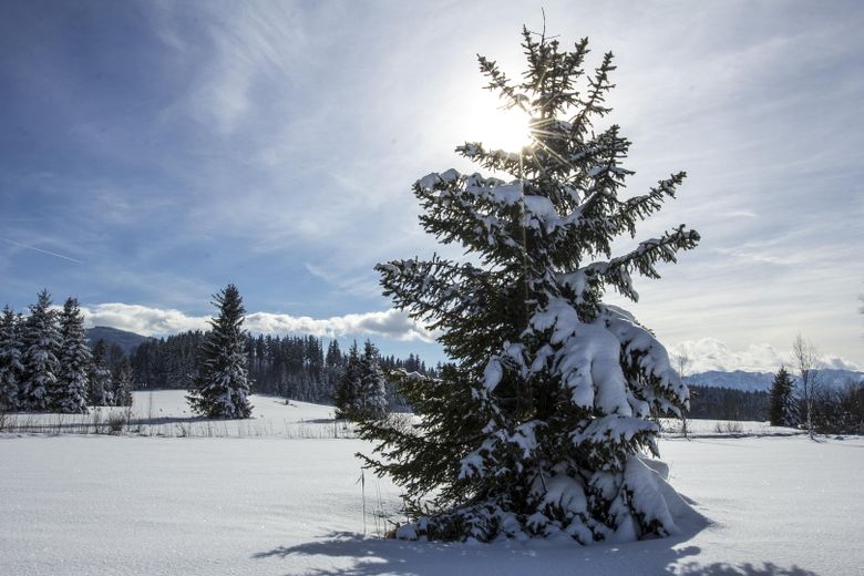 Hochparterre mit ca. 85 m² plus Gartenanteil – barrierearm wohnen zwischen Isar und Alpen – Ellbacher Moor
