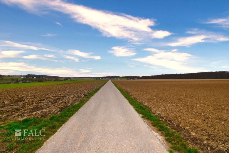 Ankommen. Bleiben. Durchatmen. - 3 Zimmer mit Grünblick – Die Natur genießen