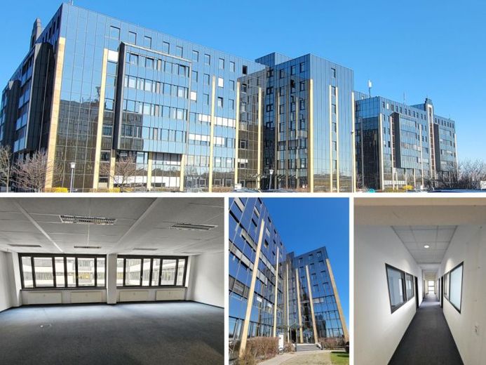 Großräumige und gestaltbare Bürofläche mit 14 Räumen in Leipzig Seehausen – Foto 1