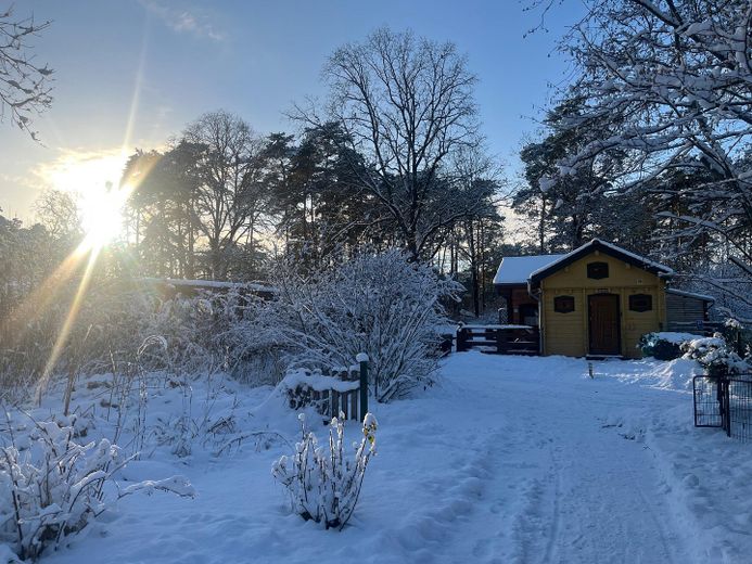 Wohn- und Geschäftshaus – Gartenblick im Winter
