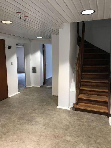 Freistehendes Einfamilienhaus mit Photovoltaikanlage auf sonnigem Grundstück in Berlin-Wittenau – Zugang zum Souterrain