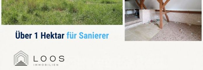 Sanierungsprojekt mit über 10.000 m² Grundstück in Naundorf