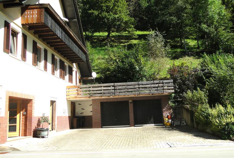 Doppelgarage und Einfahrt