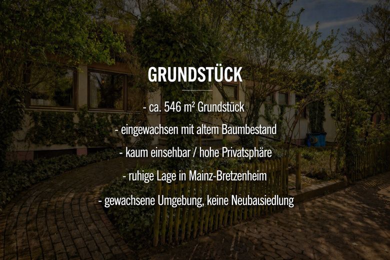 Ihr eigener Wald auf dem Dach  ---  Biotop statt Beton – Grundstücksdetails