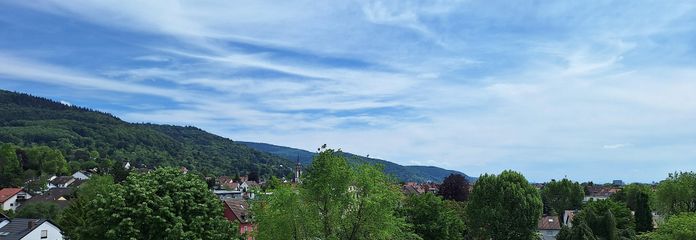 Blick ins grüne Handschuhsheim
