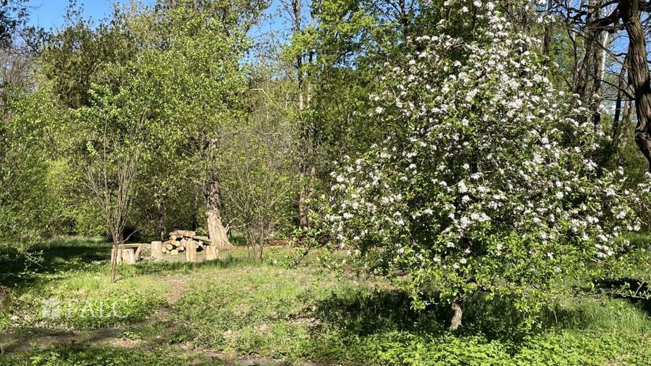 Traumhafte Villa nahe dem Scharmützelsee - Wohnen, wo andere Urlaub machen – Garten