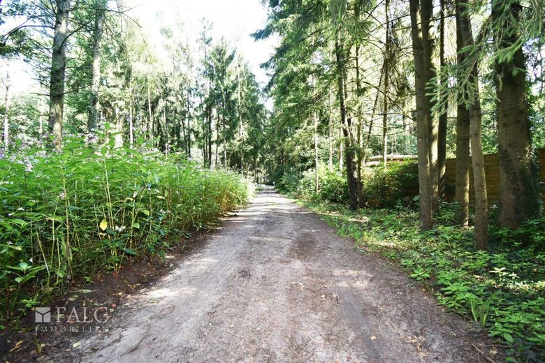 RESERVIERT!! Saniertes Wochenendhaus im Wald – Umgebung