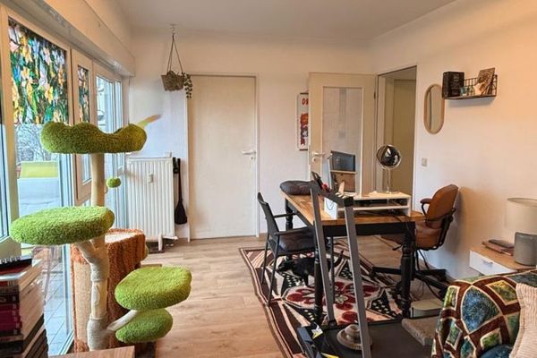Kompaktowe mieszkanie 2-pokojowe na parterze w spokojnej lokalizacji Drezna