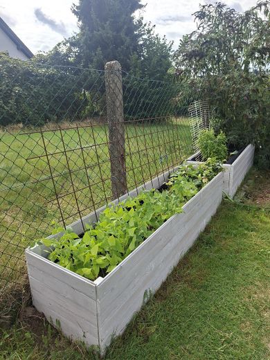 Modernisiertes Einfamilienhaus mit Wärmepumpe, großer PV-Anlage und großzügigem Grundstück – Garten