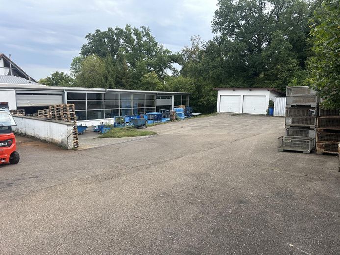 Vielseitig nutzbare Gewerbeeinheit mit Verwaltung und großer Freifläche in Illertissen zu mieten – Außenansicht Hallen