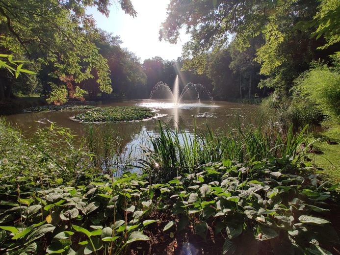 RISERVATA - Bifamiliare ristrutturata e accogliente per tutta la famiglia in una buona posizione – fino a 5 locali – Umgebung - Kurpark Bad Aibling