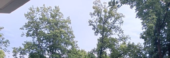 WJ-00109_bild_008.jpg
