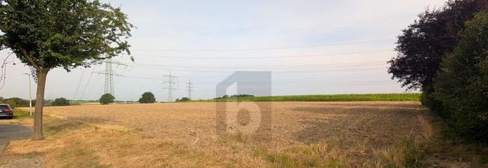 RUHELAGE MIT 2.200 QM & FREIER GESTALTUNG