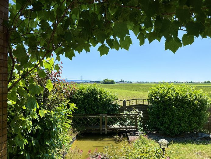 Ausblick EG