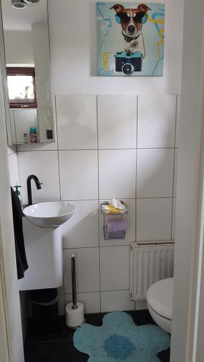 Doppelhaushälfte Einfamilienhaus, ländl. ruhige Lage doch zentral, gesamte Infrastruktur fußläufig – Gäste-WC EG, Tageslicht