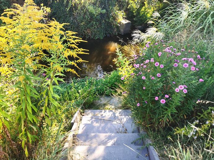 Familienhaus am Bach – Gartenbereich zum Wogbach