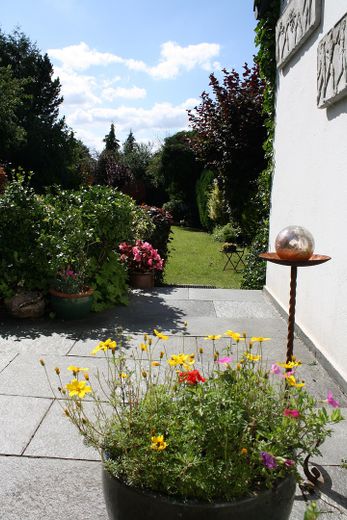 Garten / Terrasse
