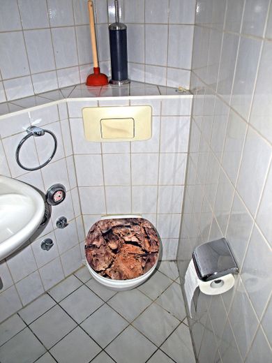 Luminoso appartamento di proprietà con spazio aggiuntivo – Bad WC