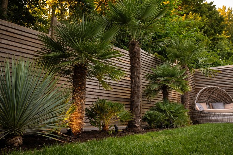 Architektur trifft Privatsphäre – besonderes Einfamilienhaus mit Pool, Sauna und Garten im Grünen – Palmenbeet