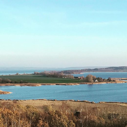 Inselidyll mit Boddenblick: Großes Grundstück & Ferienhaus-Potenzial auf Rügen – Blick vom Aussichtsturm