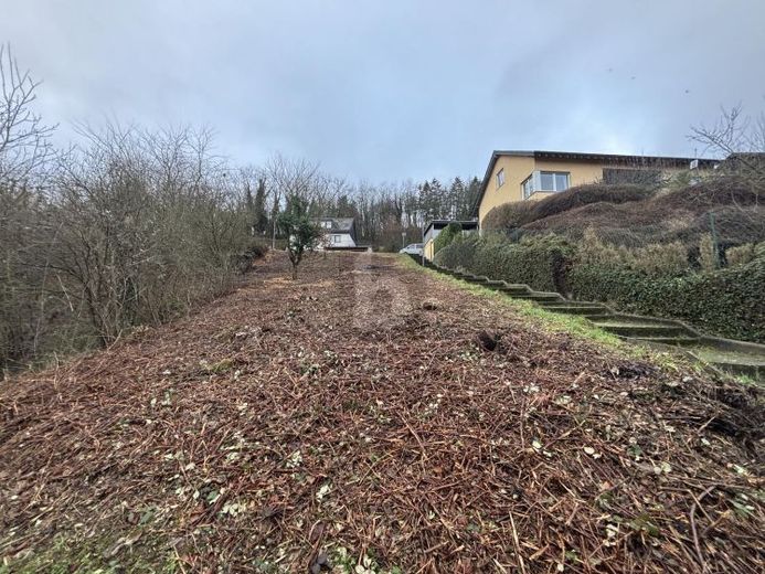 POSIZIONE TOP + PREZZO, 2 TERRENI, VENDITA SINGOLA – Foto 1
