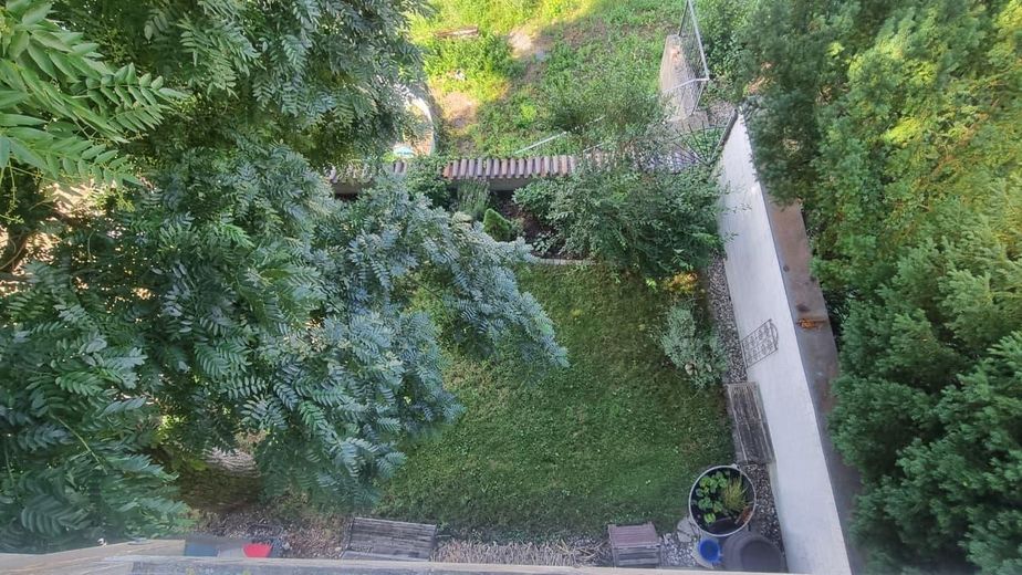 Sehr schöne, ruhige Wohnung in Top-Lage – kleiner Bereich des Gartens