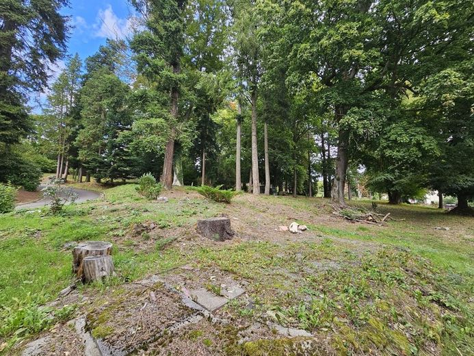 Schöne Grundstücke sind selten geworden: Bauplatz, 900 m² im Park mit altem Baumbestand - zugreifen! – 5264 - Ansicht Richtung Norden