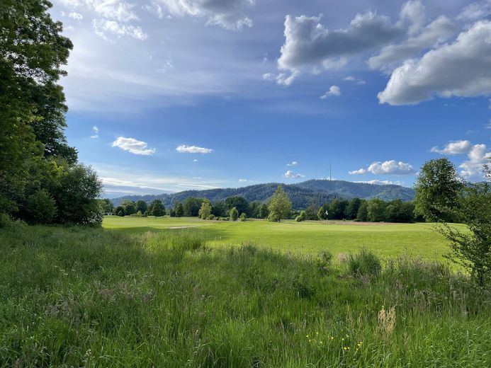 Güzel Dreisamtal’da, Freiburg’a yakın doğayla iç içe yaşayın – Dreisamtal