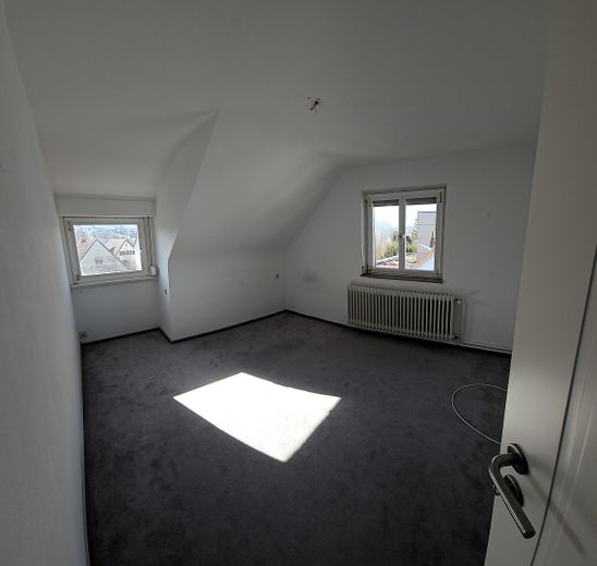 Zimmer DG