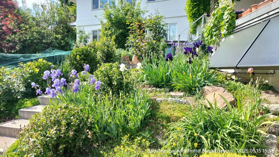Gartentreppe mit Blumen