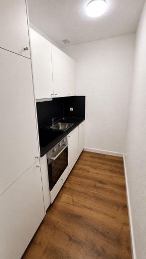 Frisch saniert: 1-Zi-Apartment mit Südbalkon & neuer EBK in Konstanz-Königsbau – Neue Einbauküche (Erstbezug)