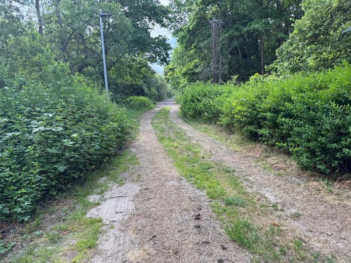 MAKLERFREI Projektstart sofort möglich: ca. 7.000 m² Gewerbegrundstück mit erteilter Baugenehmigung – Zufahrt